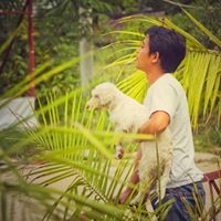 Sai Zaw