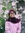 Nazneen
