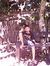 Teguh J