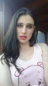 דניאל סולומון