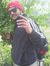 Manoj K...