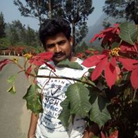 Thineshraj Vivekanandan