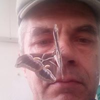 Роман Рачков