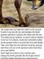 Madhu S...