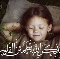 د.محمود محمد