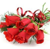 Preethi Logesh