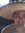 Myles S...
