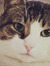 Delonna