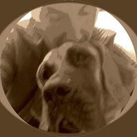 Beatrice Franceschelli