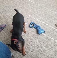 Michelle Phillips Perry