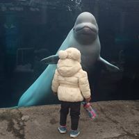 Maureen Howley-Brigham