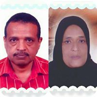 ولاء عصام