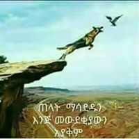ታሪኩ ለማ
