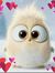 Nur Anis