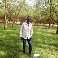 صدام محمد ادم ابكر