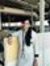 Gowri A...