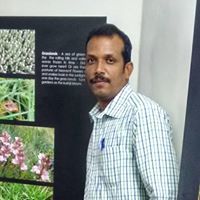 Vijay Maruthappan