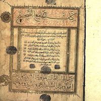 ابراهيم الطناحي