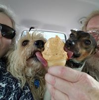 Penny Sprinkle-Dillehay