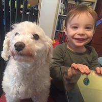 Suzanne Bentley Faje