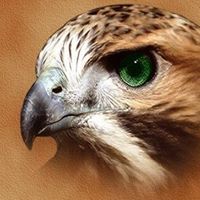 وليد الحمدان