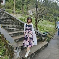 Tùng Anh