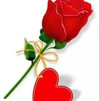 Eng Mohamed
