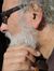 Meir Goren