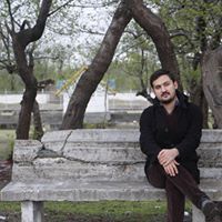 Hamed Assadi