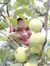 Siti Hanim