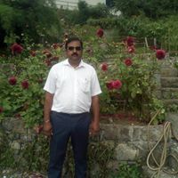 Jiley Singh