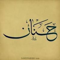 حنان الناجى