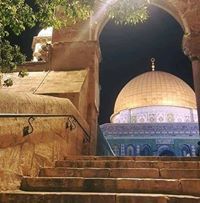 سعيد اسعيدي