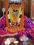 Nipun G...