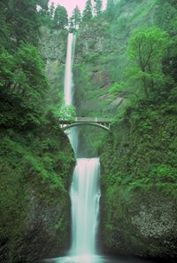 يحيى السهيمي