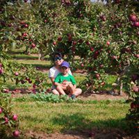 XuânNguyên Nguyễn