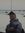 Fahed M...