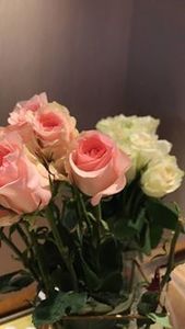 اروى الجسمي