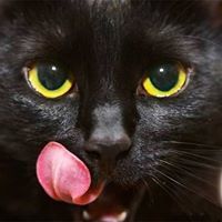 Ірина Ковалевська