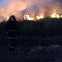 Simon Goldenberg Rius