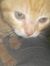 Ceyhun