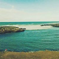 أحمد الجيلانى