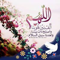 Mohammed Gamal