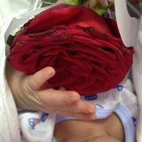 ياسر الهطالي