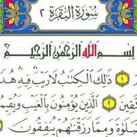 صهيب عبدالحى