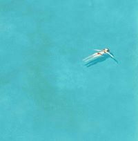 Francesca Miscioscia