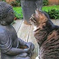 Lisa Chisholm Hildebrand