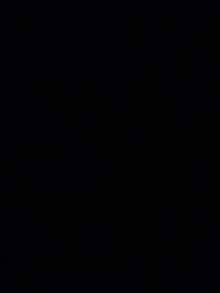 لايوجد لاشي