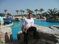 د.أحمد النشار