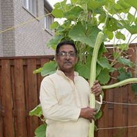 Thomas Mathew
